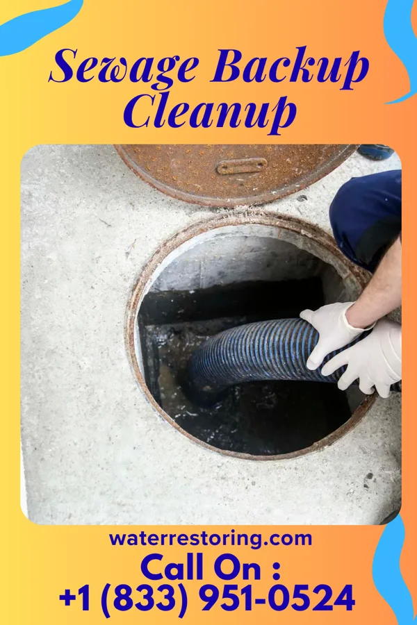 Sewage Backup Cleanup in Nilwood, IL