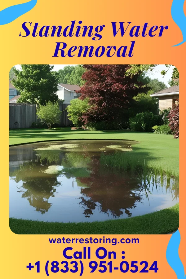 Standing Water Removal in Nilwood, IL